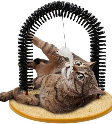 Interactive Cat Toys,Cat Arch Self Groomer Cat Brush,Cat Scratcher Toys,Cat Brush for Grooming with Cat Scratch Pad and Catnip,Cat Brush for Shedding,Cat Scratching Post